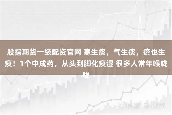 股指期货一级配资官网 寒生痰，气生痰，瘀也生痰！1个中成药，从头到脚化痰湿 很多人常年喉咙